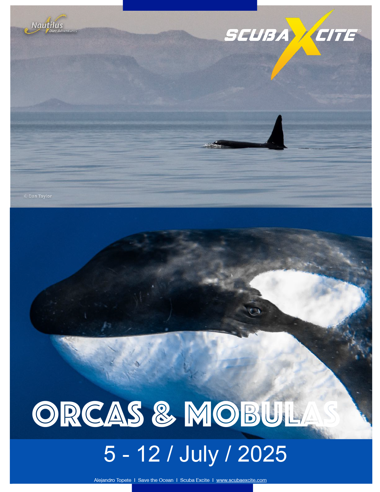 Orcas & Mobulas