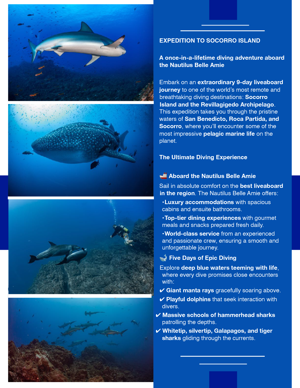 Revillagigedo Islands