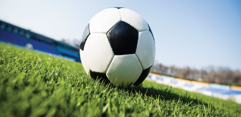 Biodegradable Grass Seed Roll​