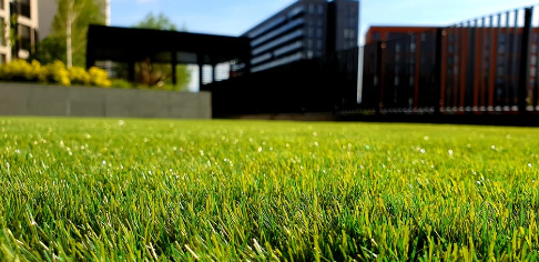 Biodegradable Grass Seed Roll​