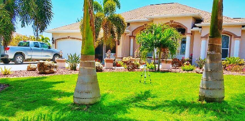 Biodegradable Grass Seed Roll​