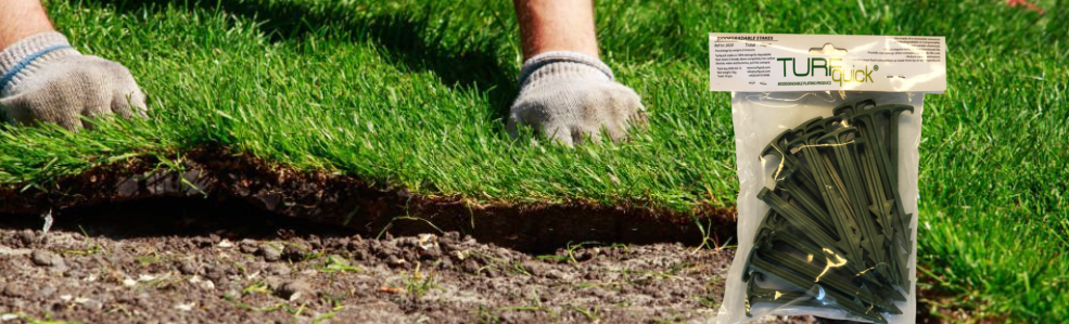 Biodegradable Stakes