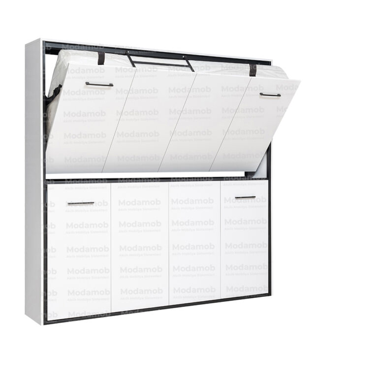 LUCCA Bunk Bed Hidden Wall Bed Cabinet