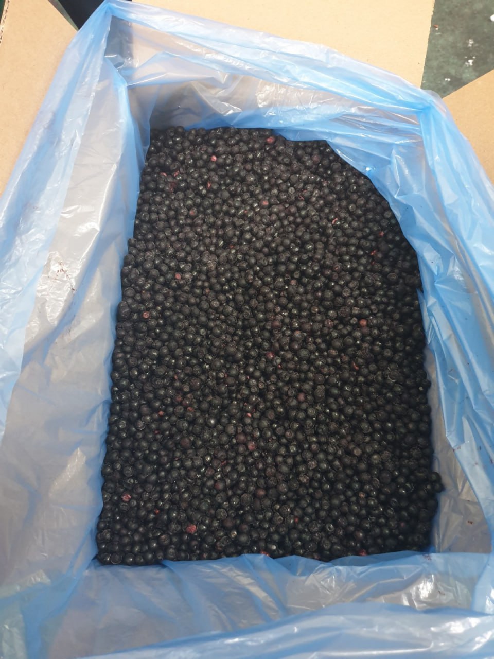 Blueberry