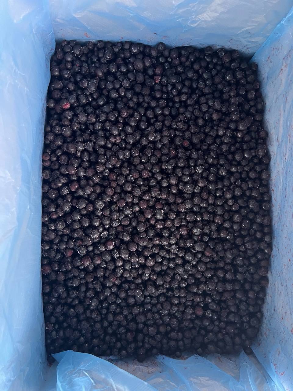 Blueberry