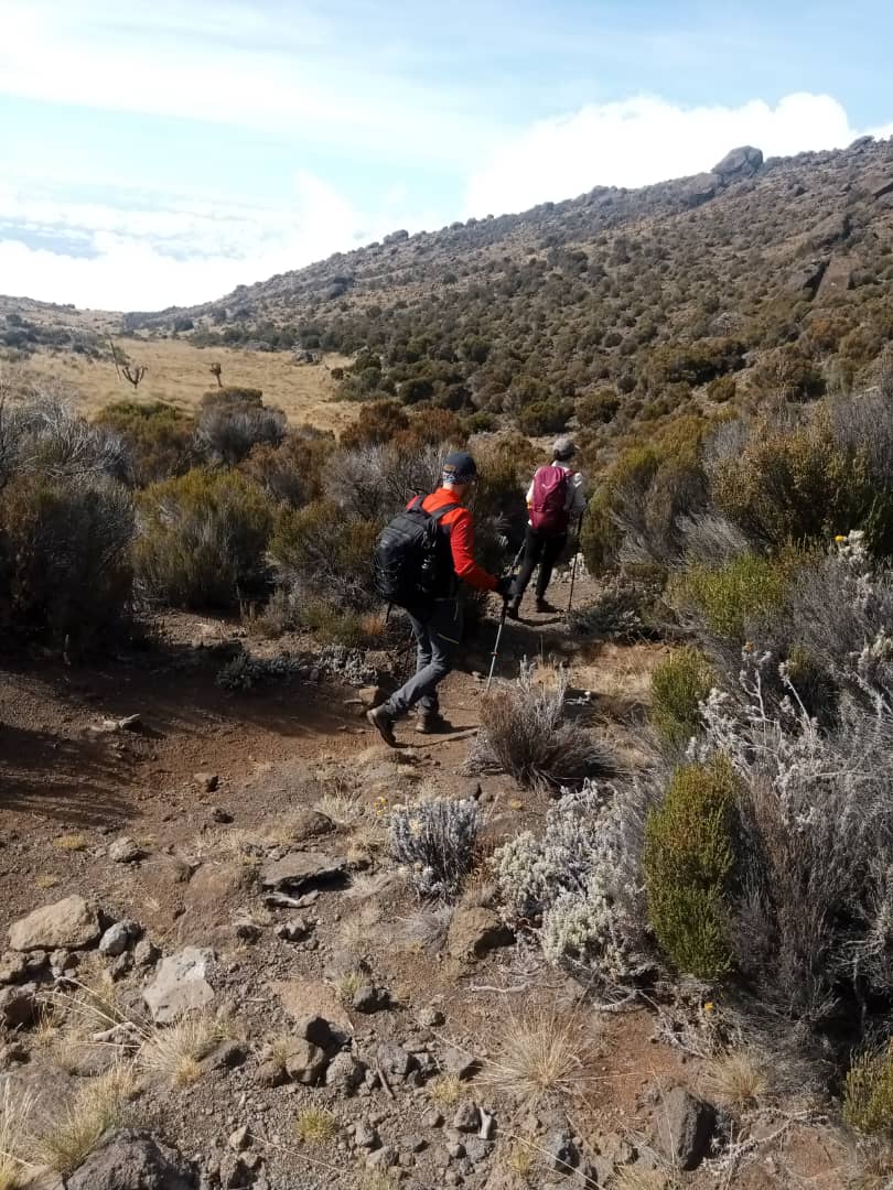 8-Day Lemosho Route  Itinerary, Prices & Dates Itinerary