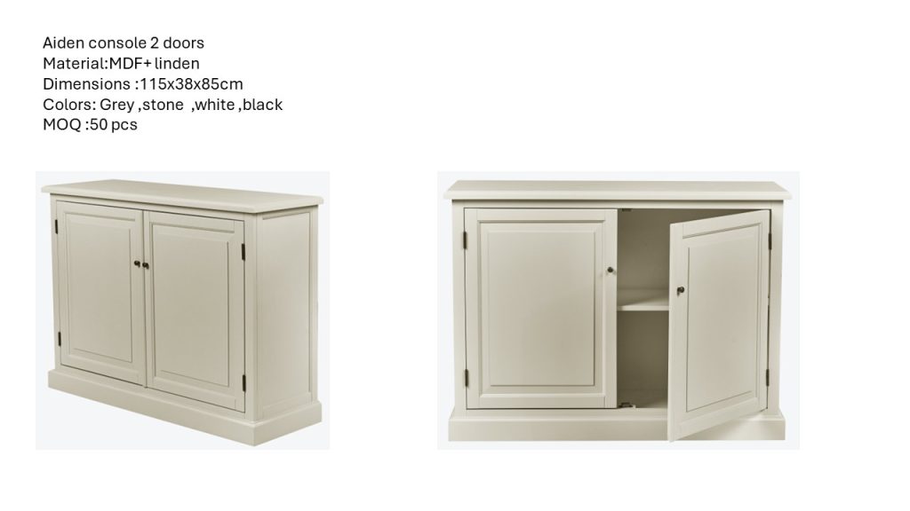 Aiden console 2 doors