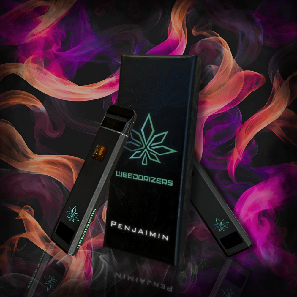 Penjamin 2.0