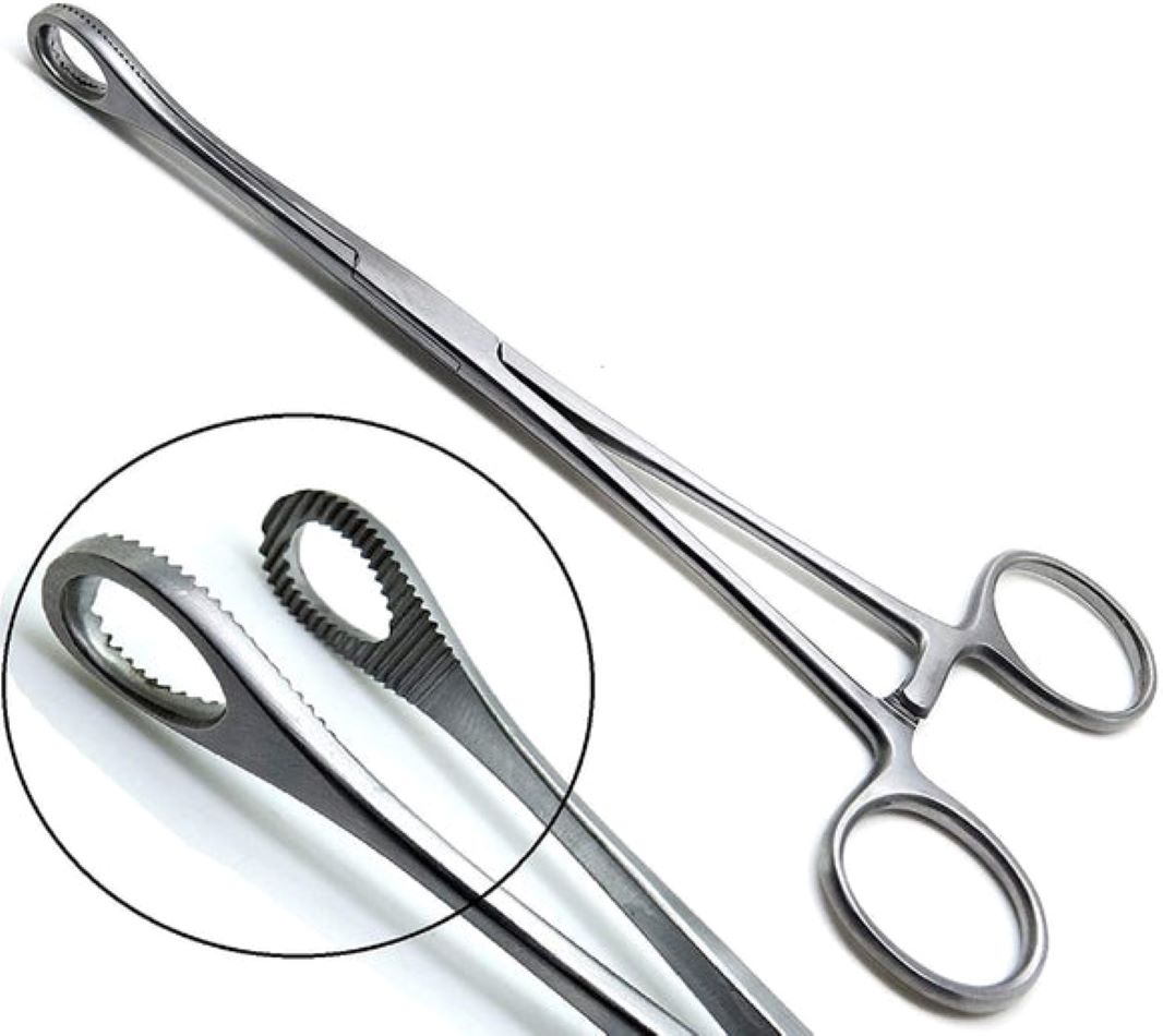 Foerster Sponge Holding Forceps