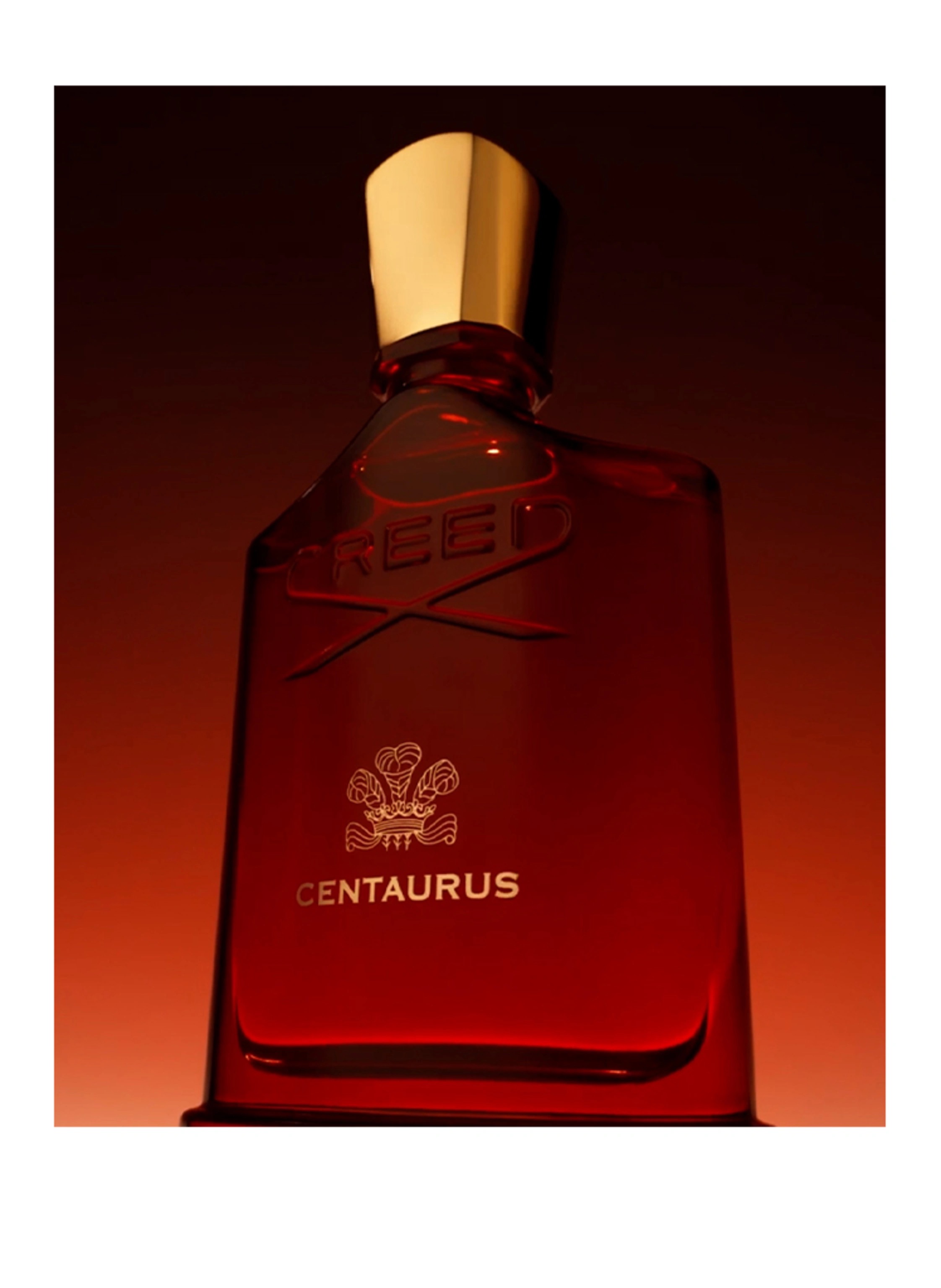 Creed Centaurus Eau de Parfum 100ml
