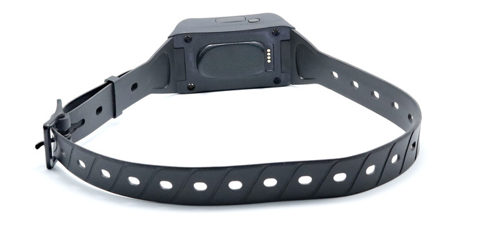 Real Time 4G GPS Dog Tracking Device D-Track207