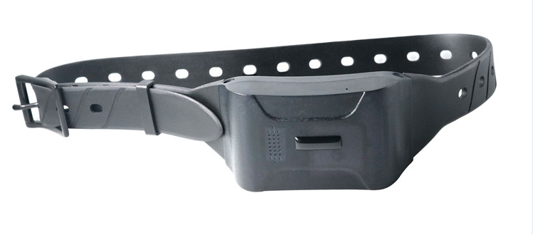 Real Time 4G GPS Dog Tracking Device D-Track207