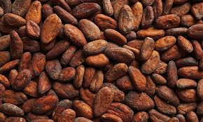 Cocoa beans