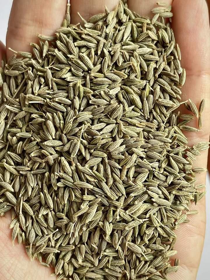 Herbs - Seeds - Spices - Legumes