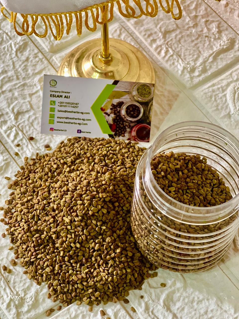 Herbs - Seeds - Spices - Legumes