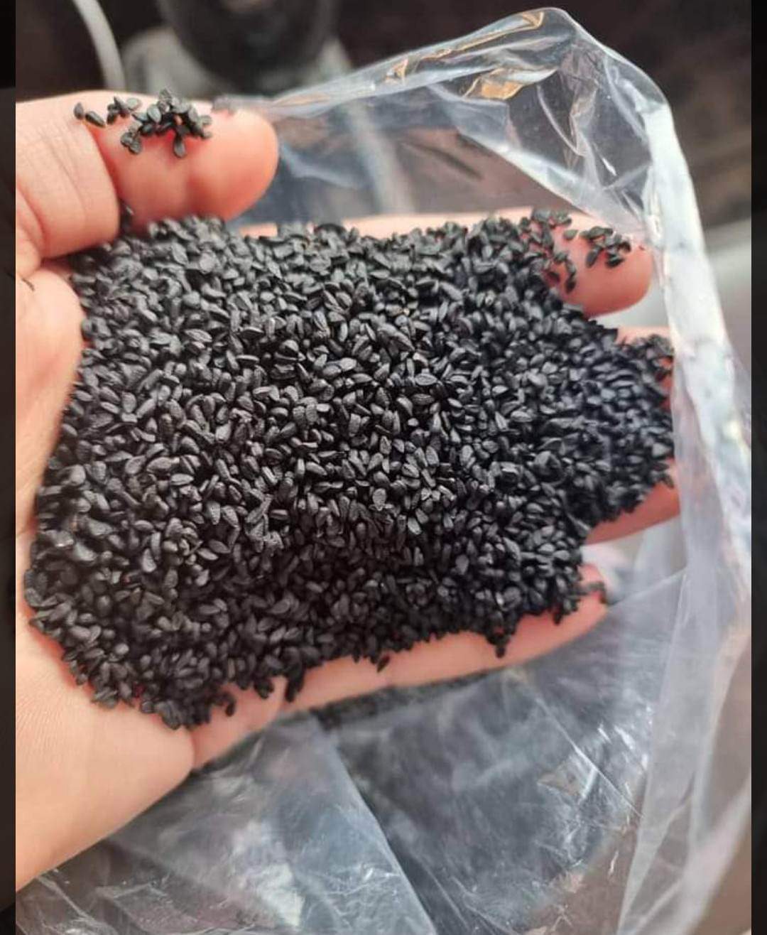 Black cumin seeds (Nigella)