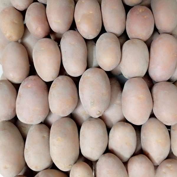 Potato (Katinal)