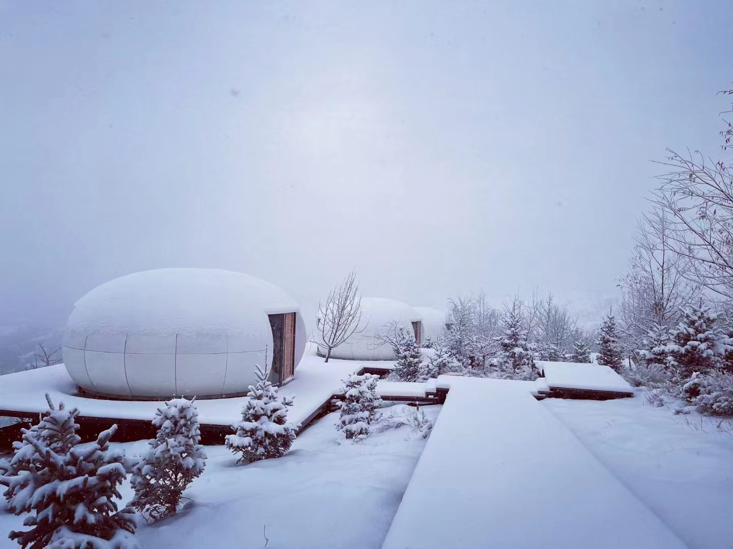 Galaxy Villa