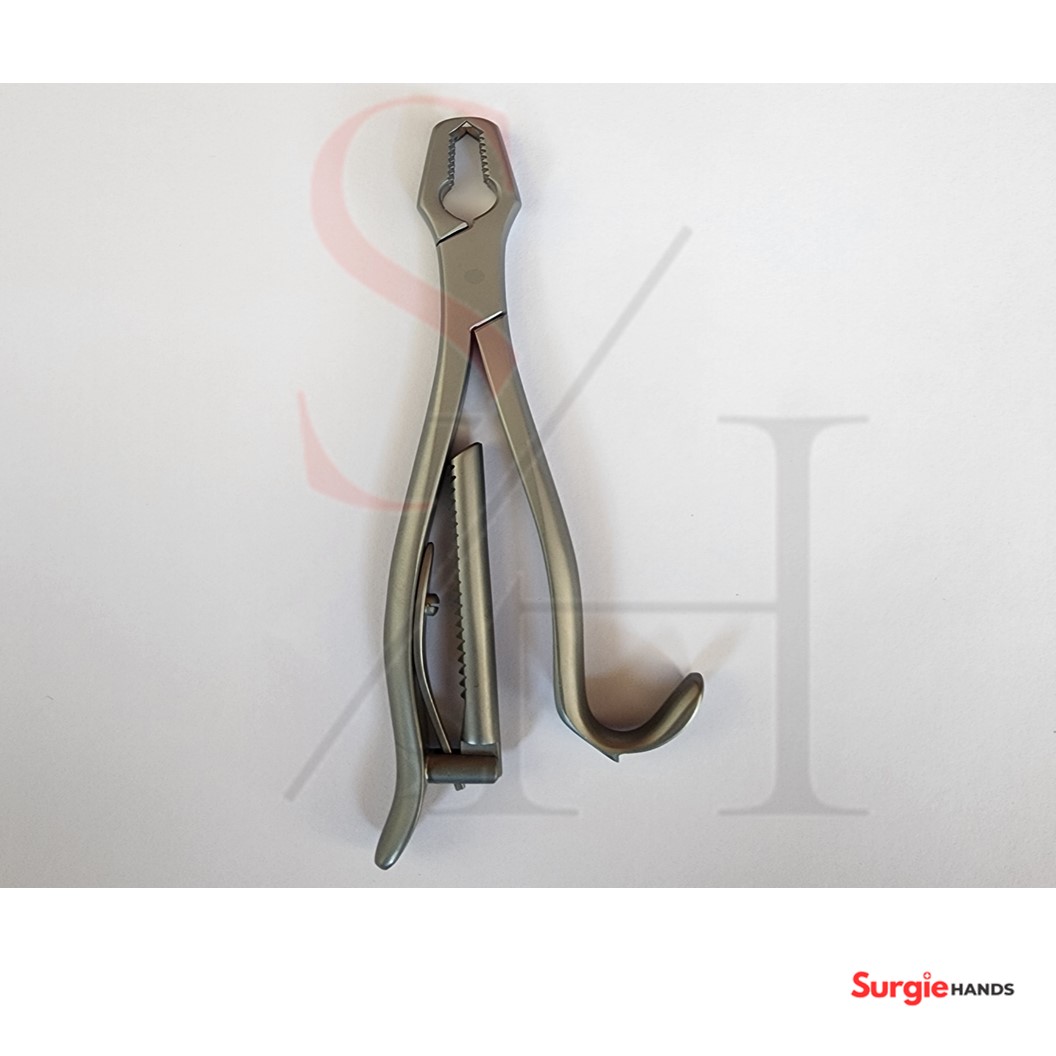Kern Bone Holding Forceps