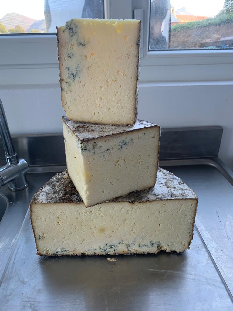 DOP Gamoneu Cheese