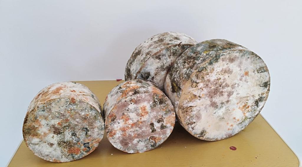 DOP Gamoneu Cheese