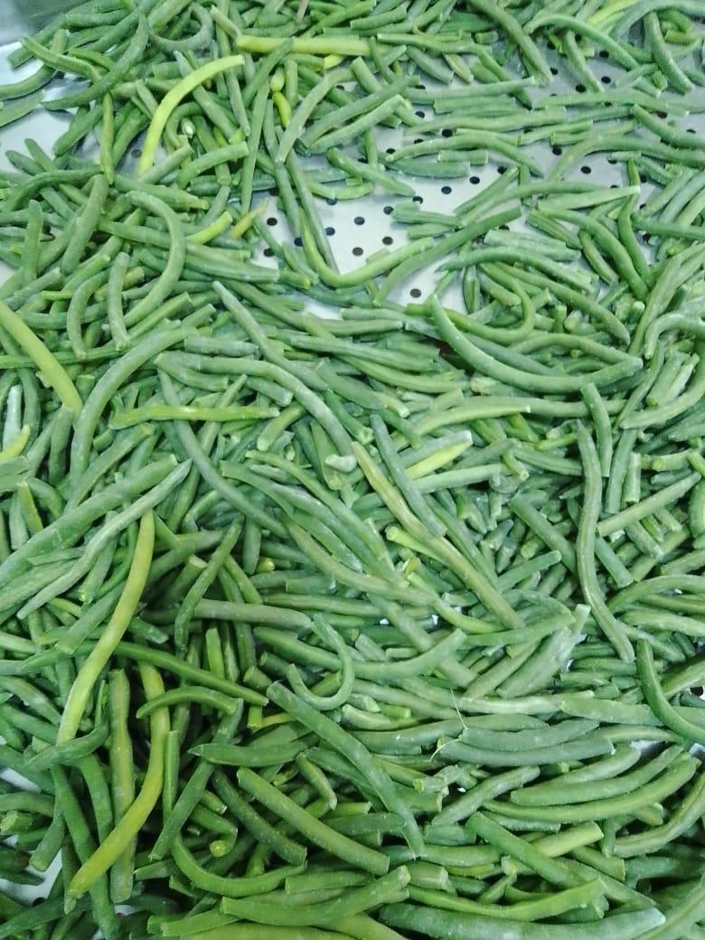 Premium IQF Egyptian Green Beans – Fresh Cut, Farm-Frozen, Export Quality
