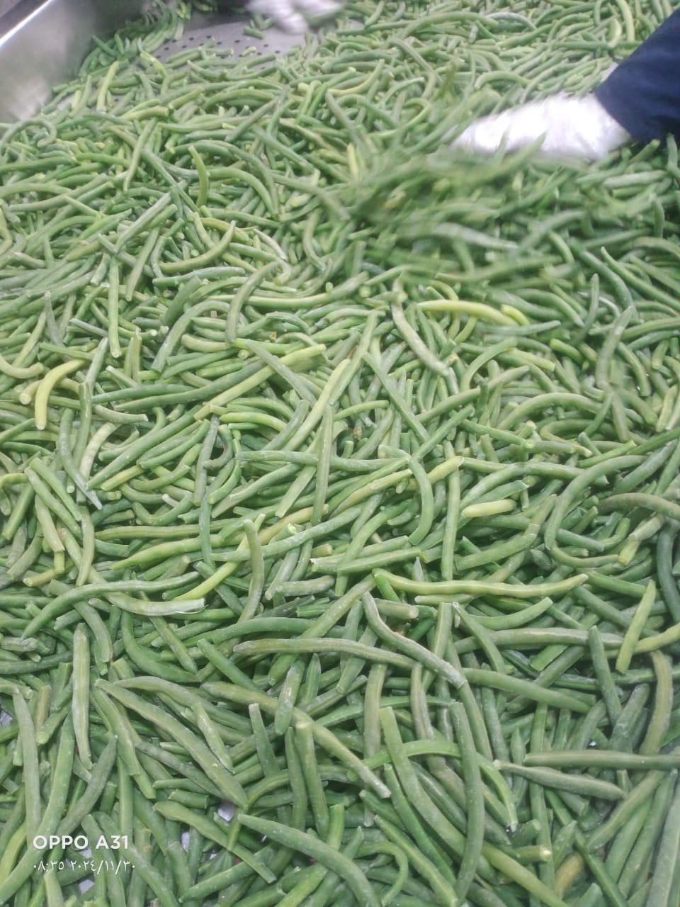 Premium IQF Egyptian Green Beans – Fresh Cut, Farm-Frozen, Export Quality