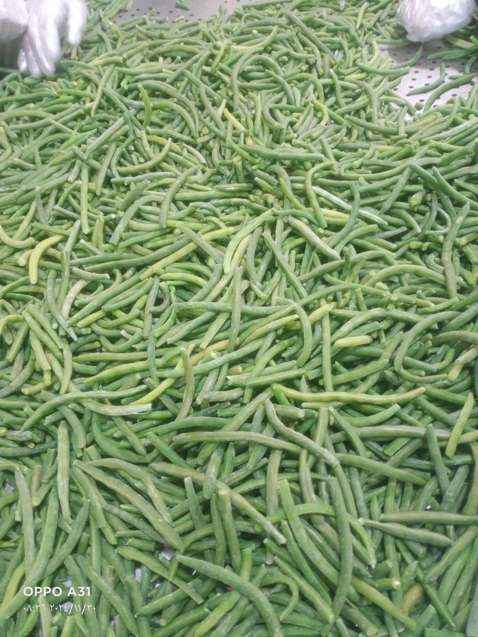 Premium IQF Egyptian Green Beans – Fresh Cut, Farm-Frozen, Export Quality