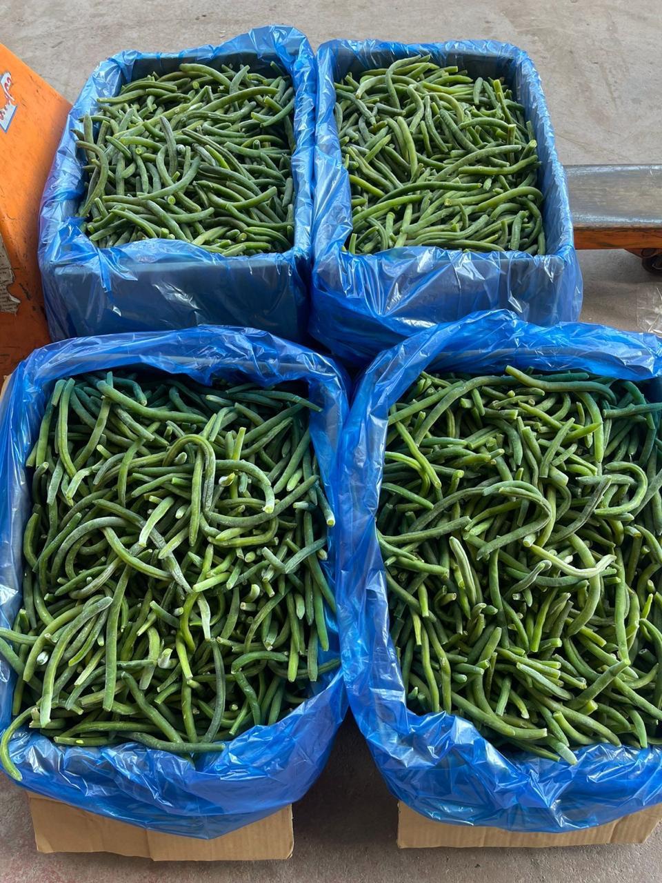 Premium IQF Egyptian Green Beans – Fresh Cut, Farm-Frozen, Export Quality