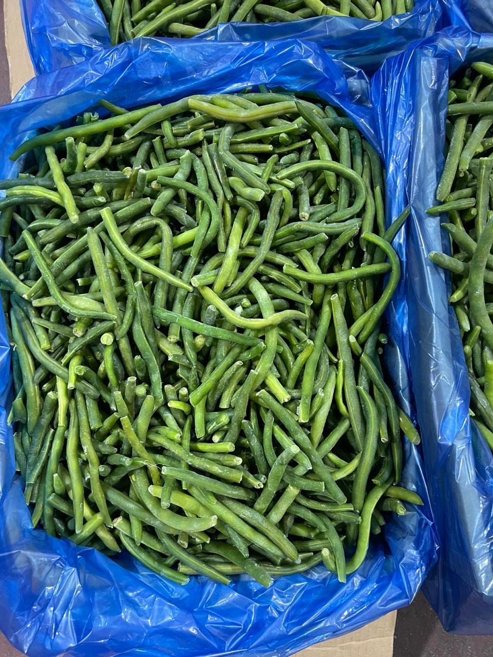 Premium IQF Egyptian Green Beans – Fresh Cut, Farm-Frozen, Export Quality
