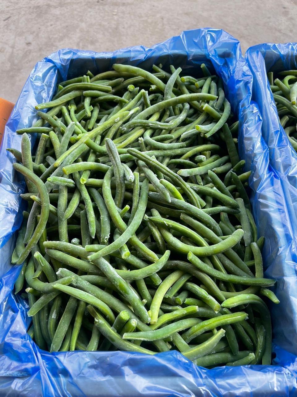Premium IQF Egyptian Green Beans – Fresh Cut, Farm-Frozen, Export Quality