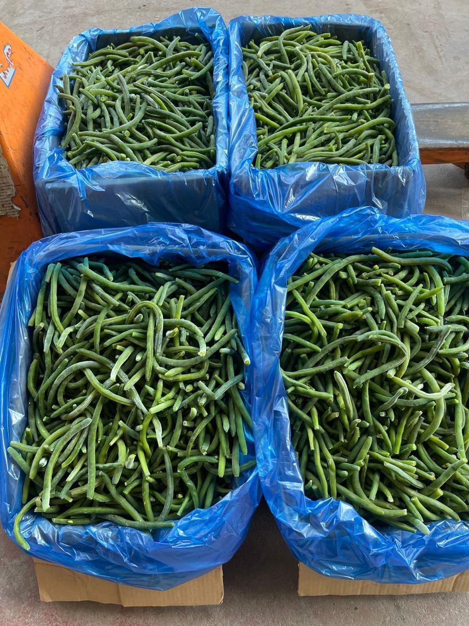 Premium IQF Egyptian Green Beans – Fresh Cut, Farm-Frozen, Export Quality