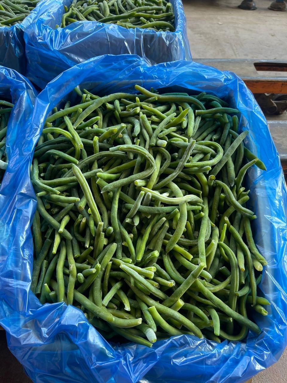 Premium IQF Egyptian Green Beans – Fresh Cut, Farm-Frozen, Export Quality