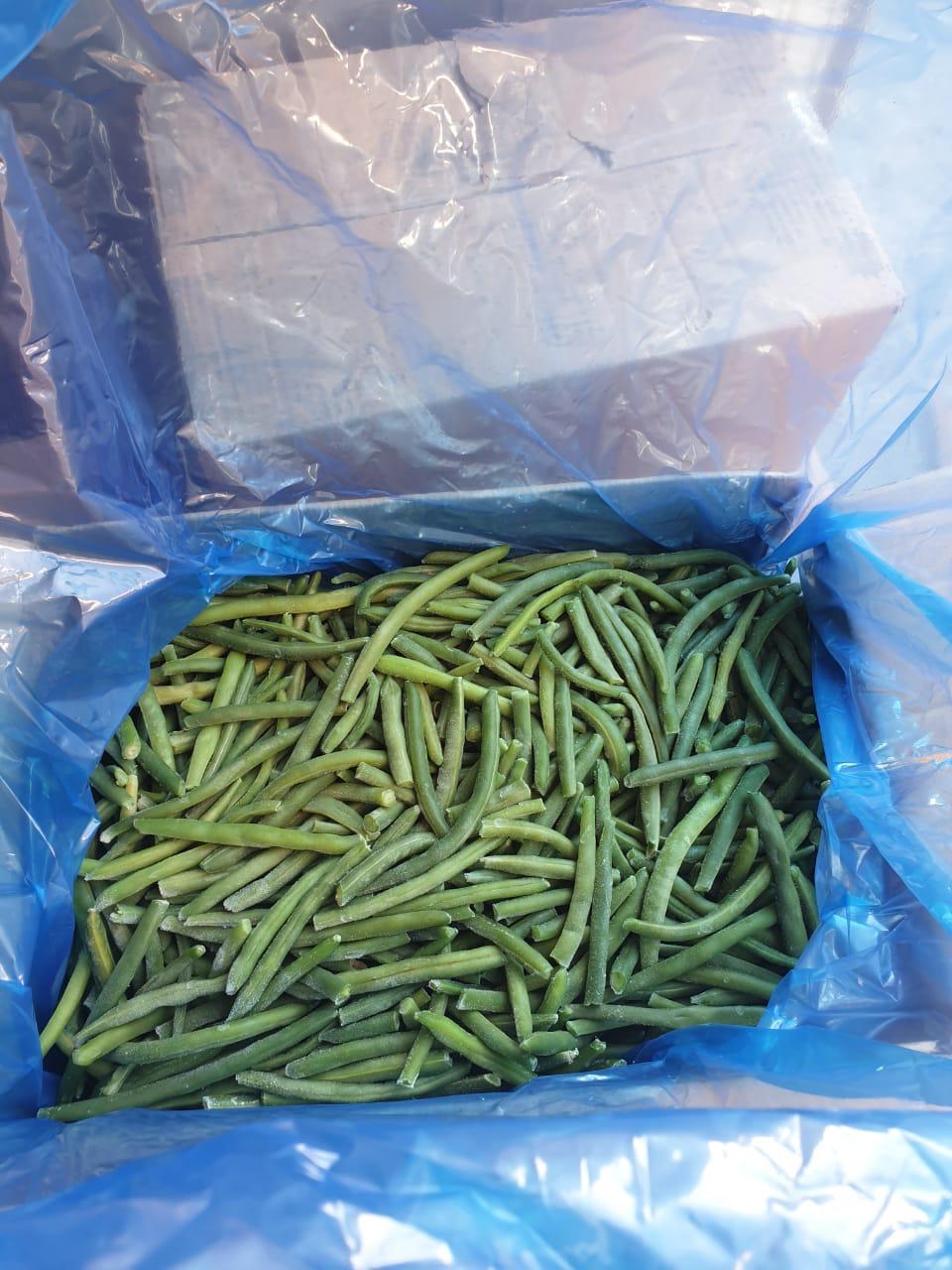 Premium IQF Egyptian Green Beans – Fresh Cut, Farm-Frozen, Export Quality