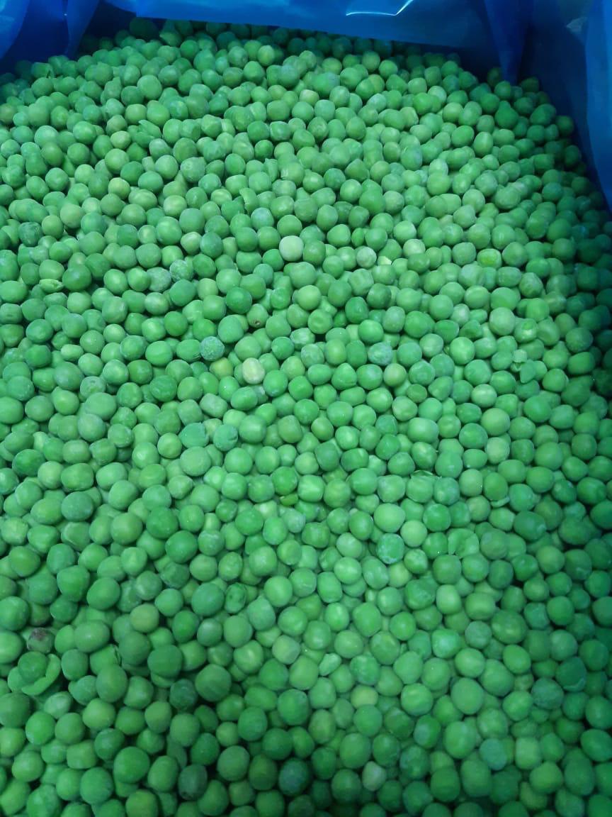High-Quality IQF Egyptian Peas – Sweet Taste, Vibrant Color, Perfectly Processed