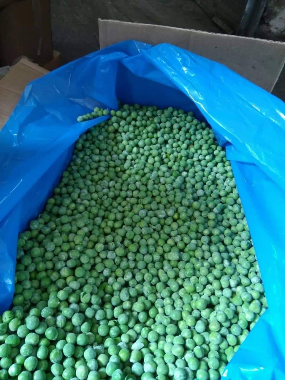 High-Quality IQF Egyptian Peas – Sweet Taste, Vibrant Color, Perfectly Processed