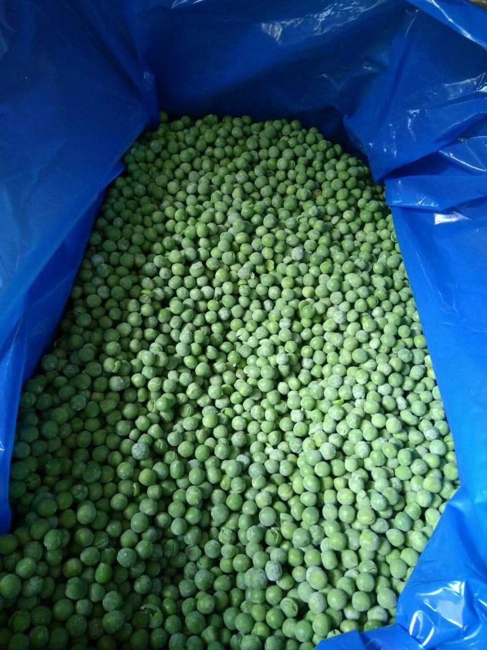 High-Quality IQF Egyptian Peas – Sweet Taste, Vibrant Color, Perfectly Processed