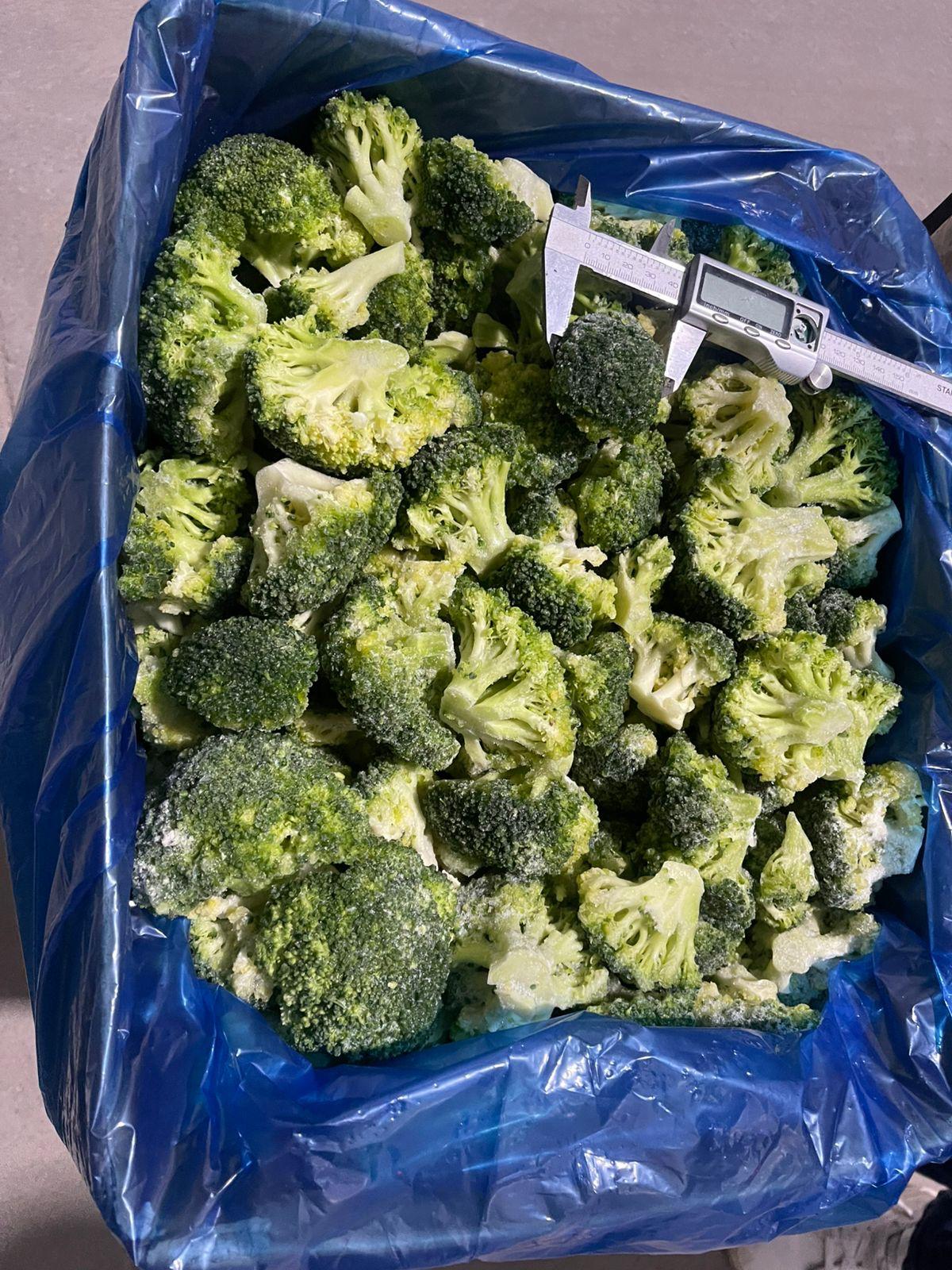 Premium Quality IQF Broccoli for Export
