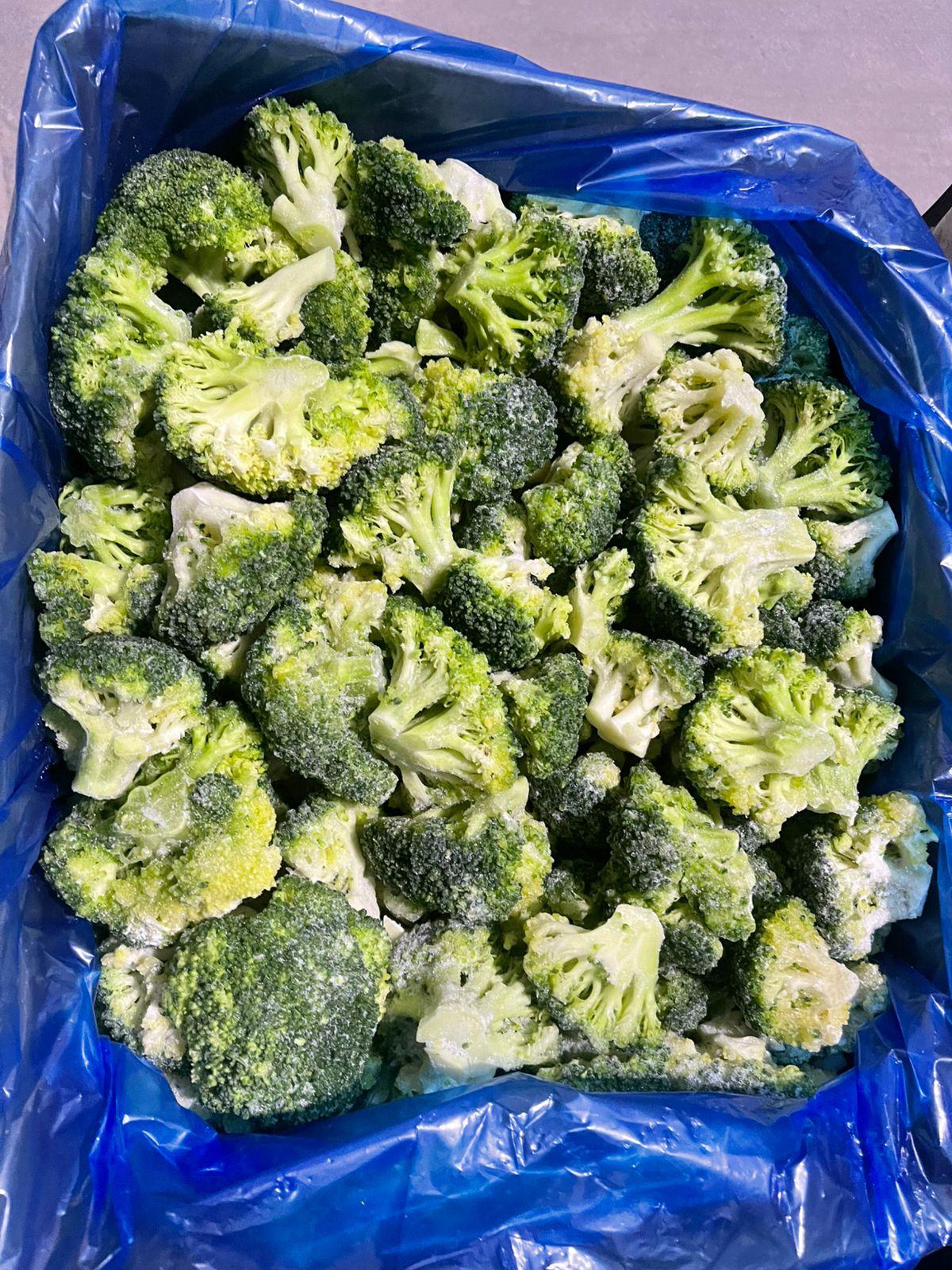 Premium Quality IQF Broccoli for Export
