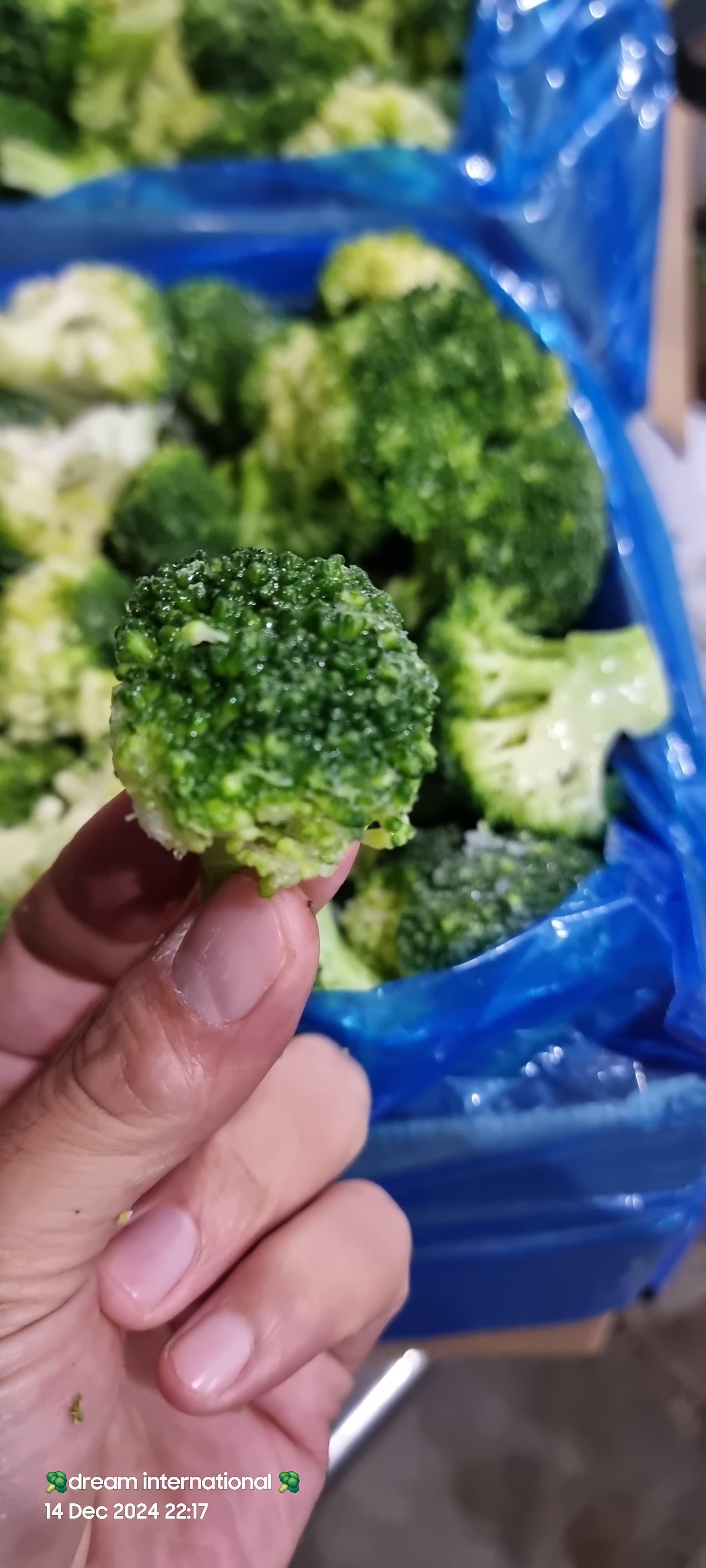 Premium Quality IQF Broccoli for Export