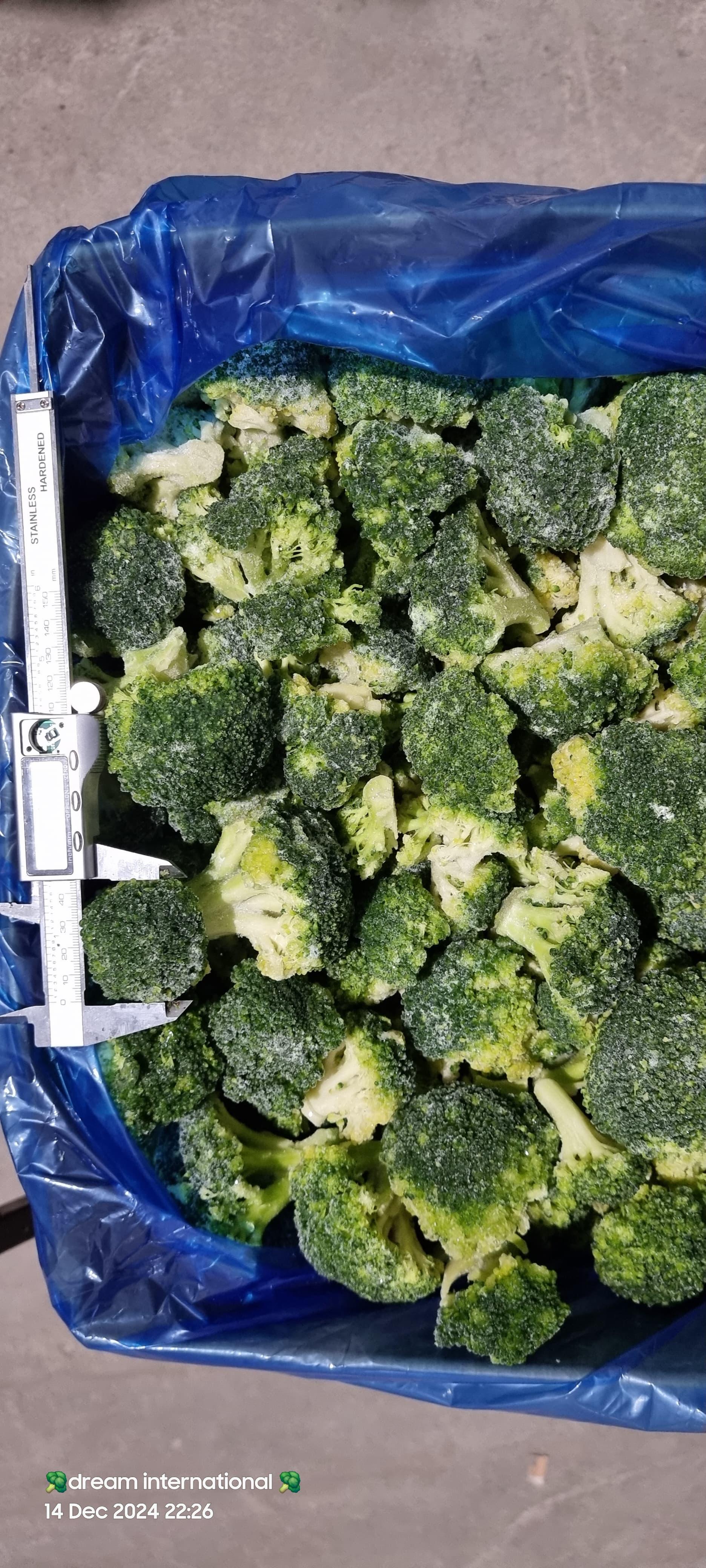 Premium Quality IQF Broccoli for Export