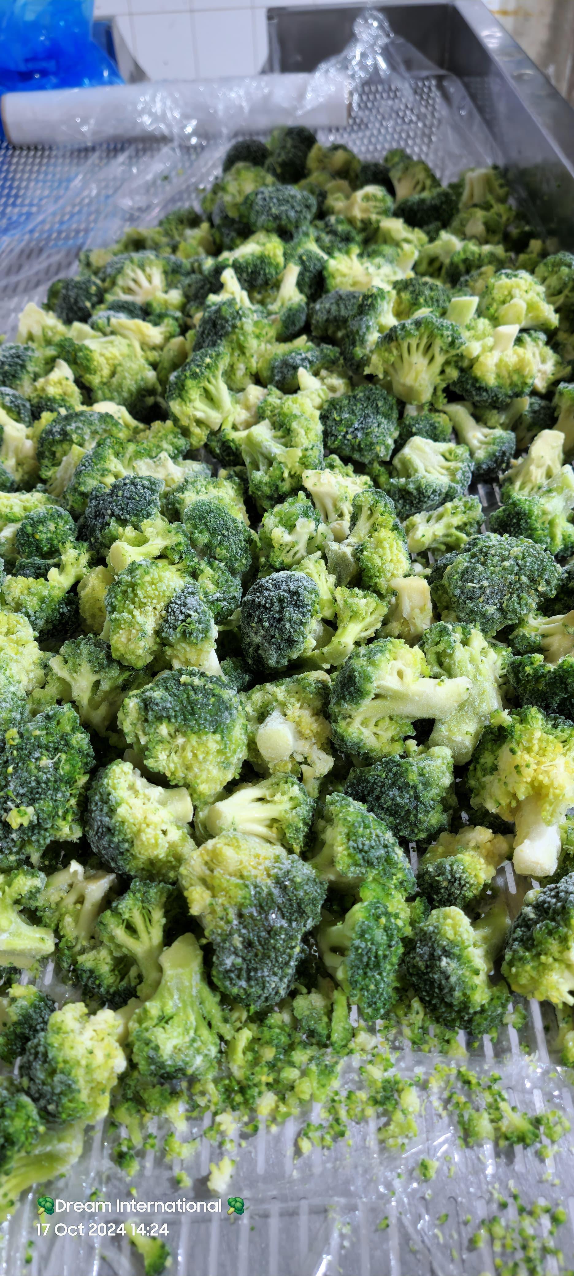 Premium Quality IQF Broccoli for Export
