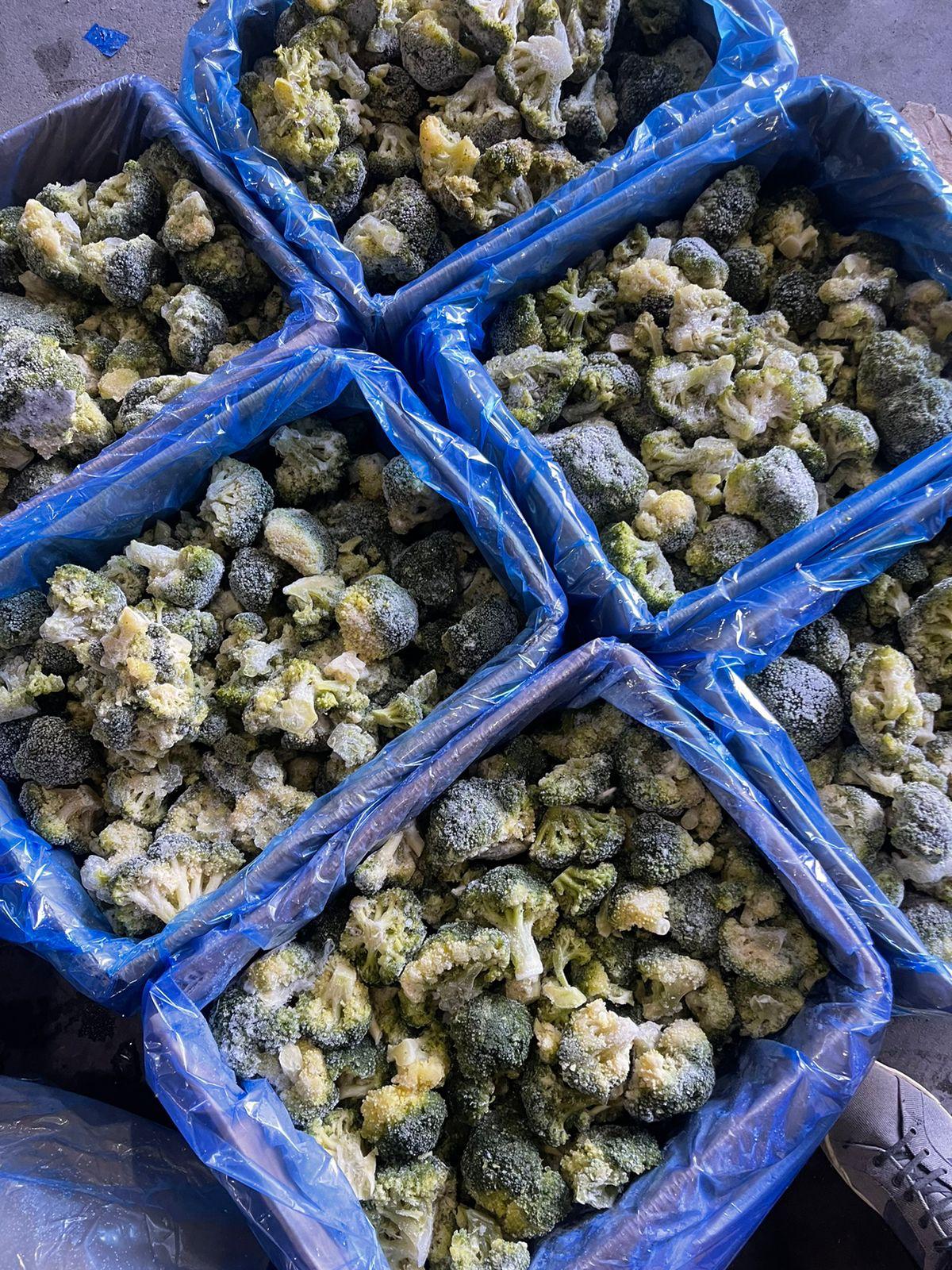 Premium Quality IQF Broccoli for Export