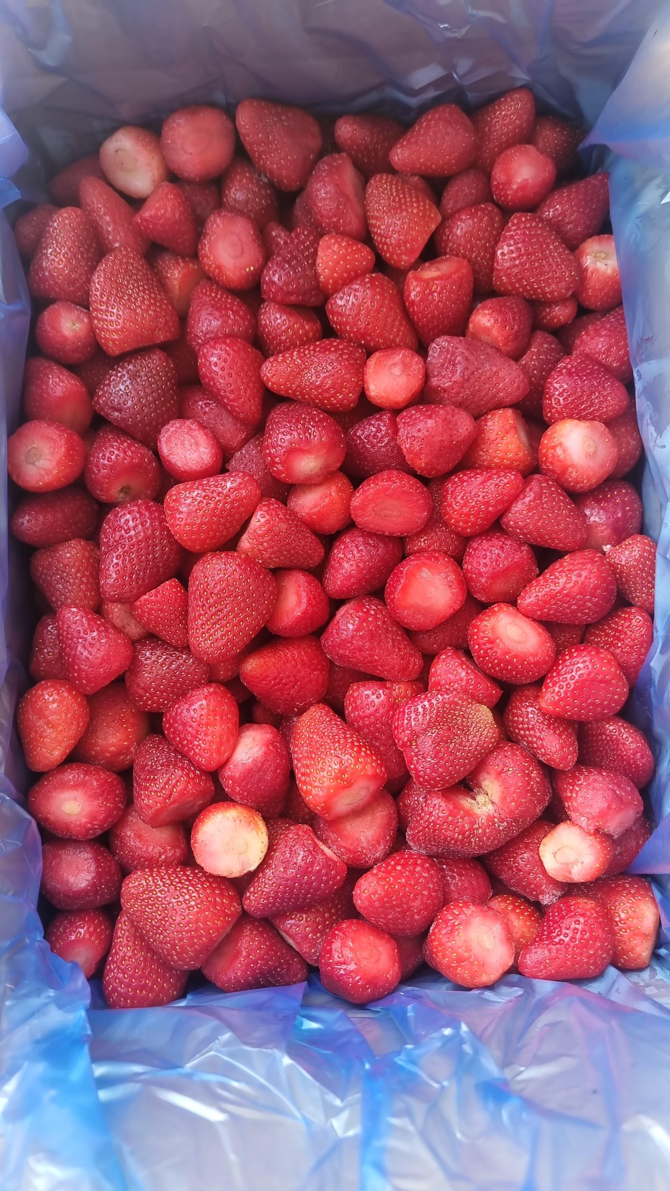 Premium Quality IQF Strawberry