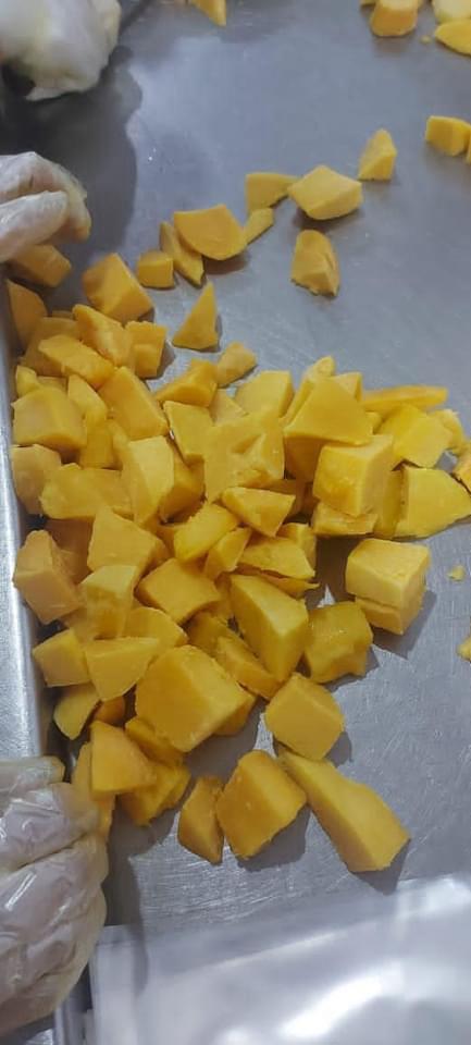 Premium egyptian IQF Mango for export