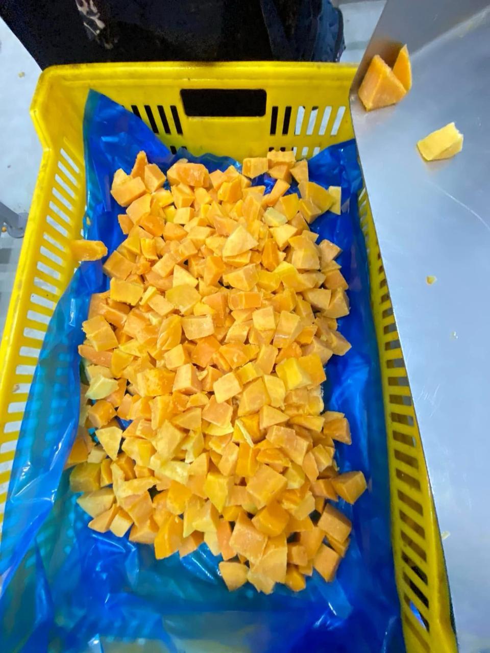 Premium egyptian IQF Mango for export