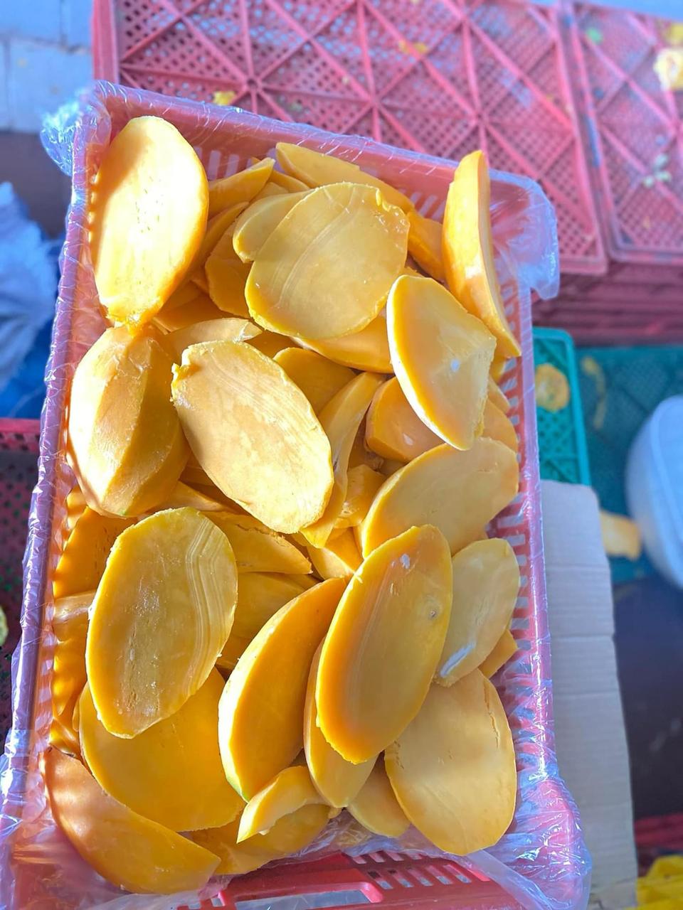 Premium egyptian IQF Mango for export