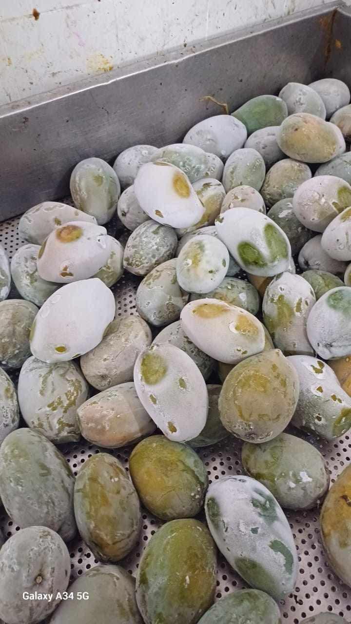 Premium egyptian IQF Mango for export