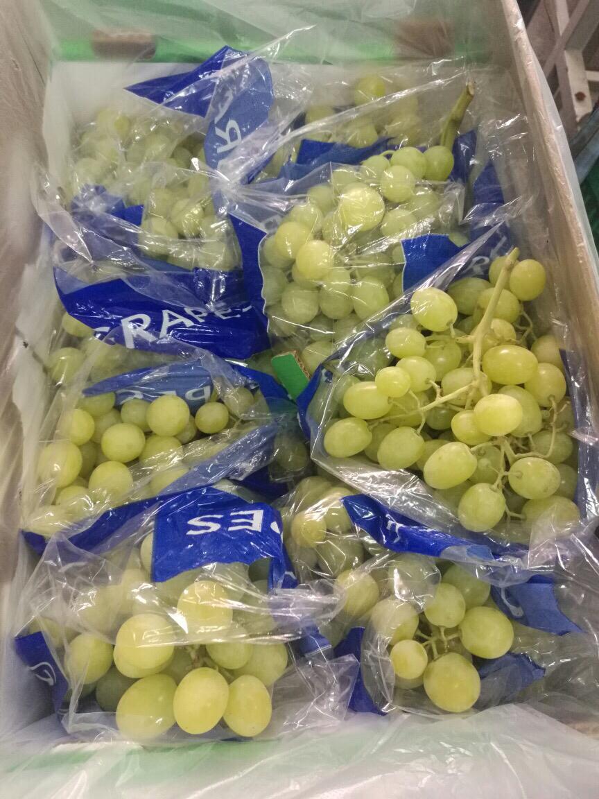 Egyptian White Grapes-Premium Export Quality