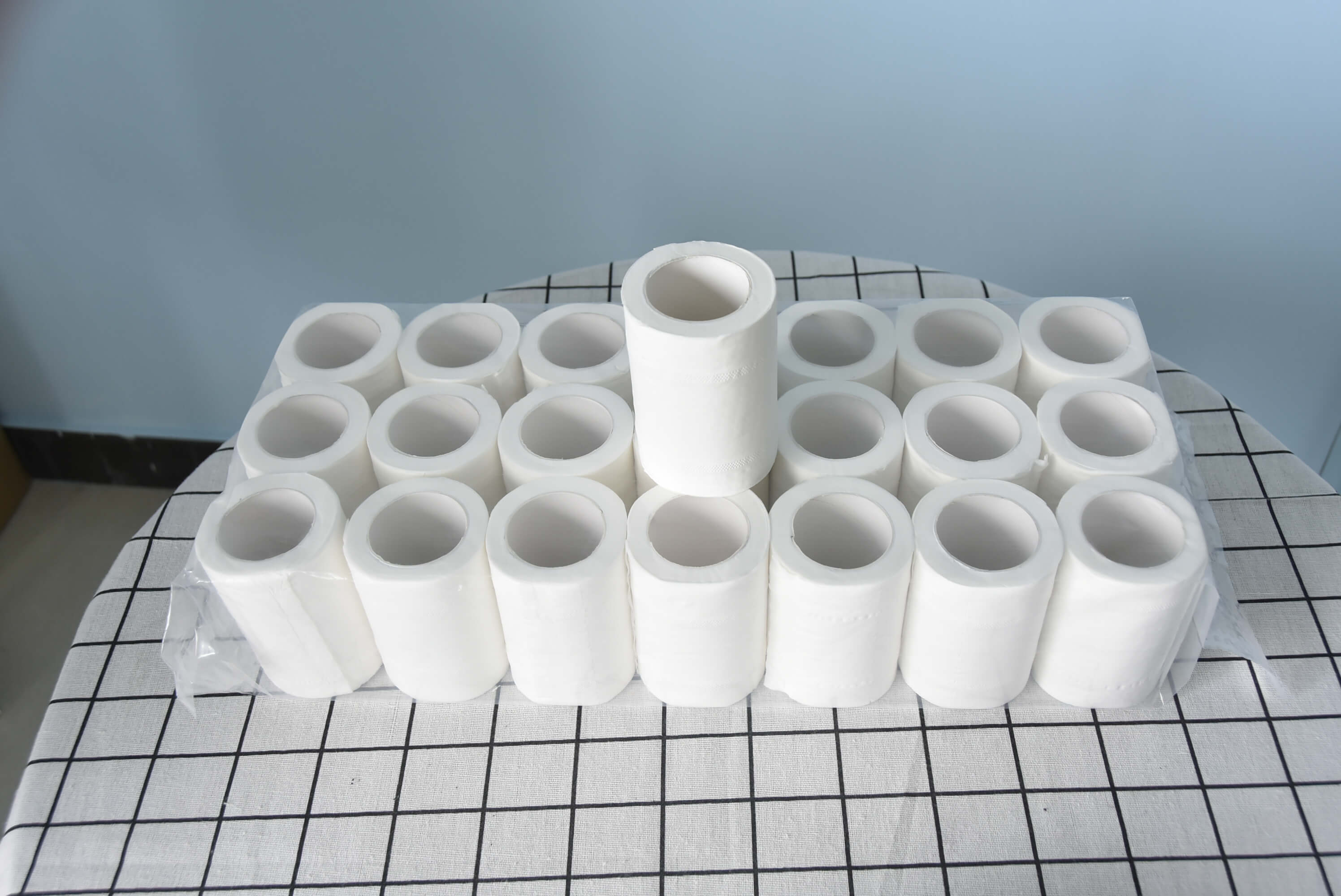 Small Rolls of Toilet Paper for Hotels